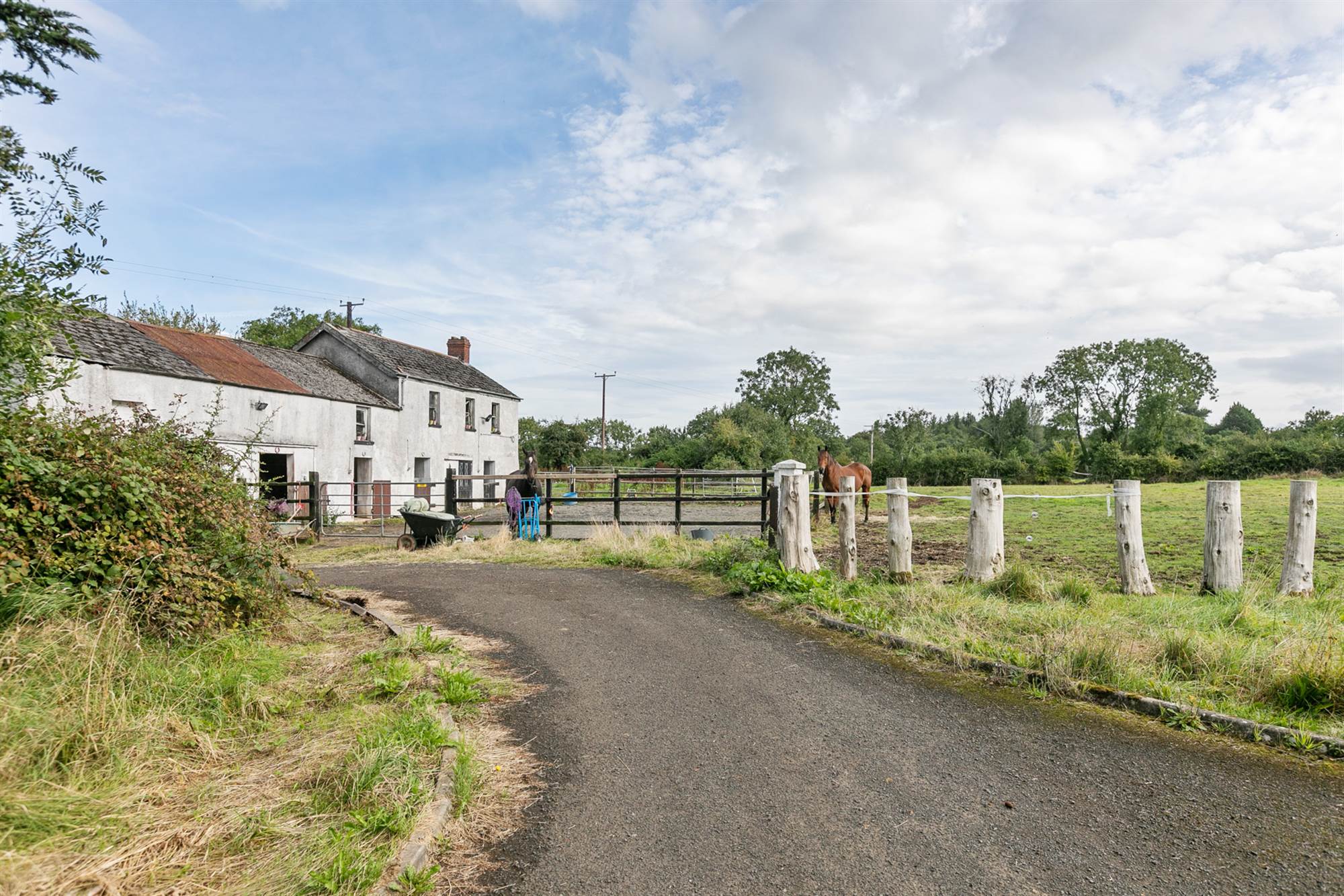Detached Bungalow with 3x Building Sites & 8 Acres of Land at 45 Ballymacvea Road