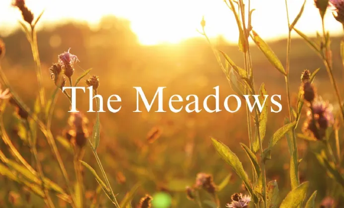 The Meadows , Ballynahinch Road, Carryduff