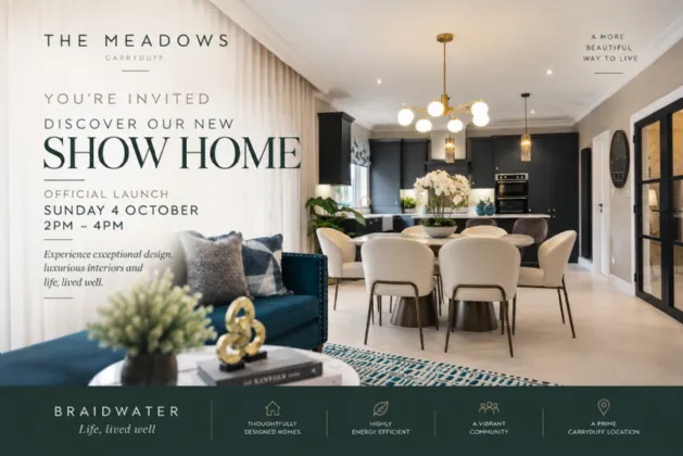 The Meadows , Ballynahinch Road, Carryduff