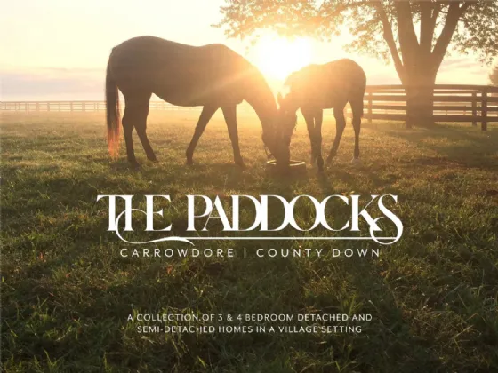  The Paddocks Carrowdore, Newtownards, County Down, BT22