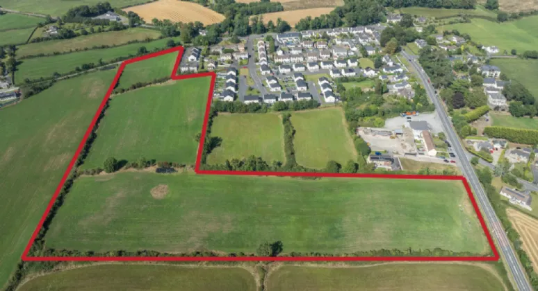 13.1 Acres Of Agricultural Land , At Newcastle Road and Manse Road, Seaforde, BT30 8NQ