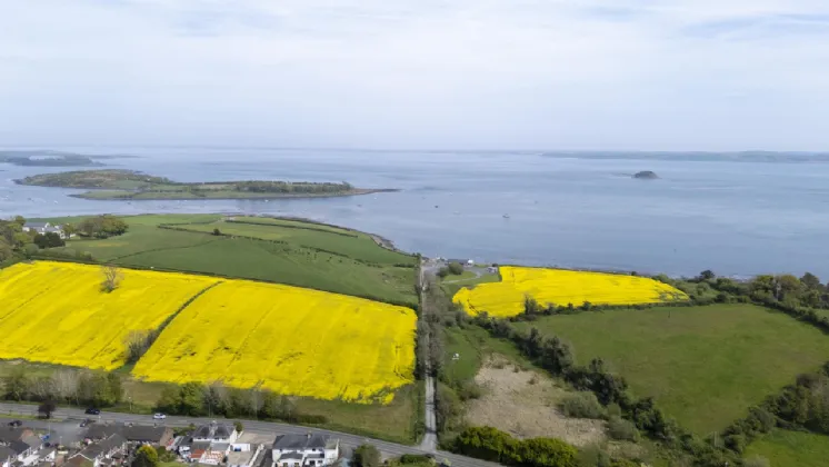 'Holm Bay' Site Adjacent To, 23 Comber Road, Killyleagh, County Down, BT30 9QZ