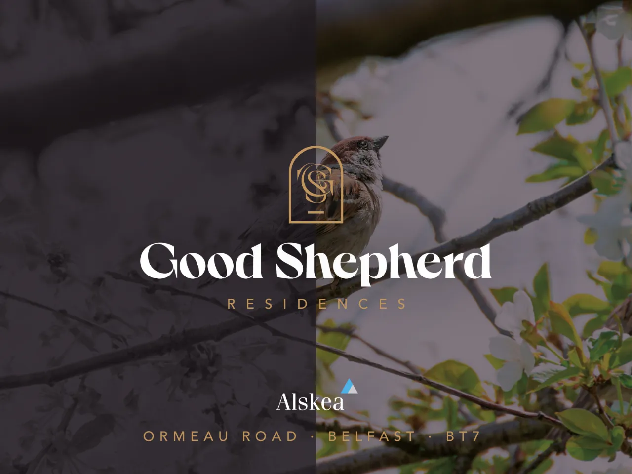 Apartment 22, Good Shepherd Residences, Ormeau Road, Belfast, BT8